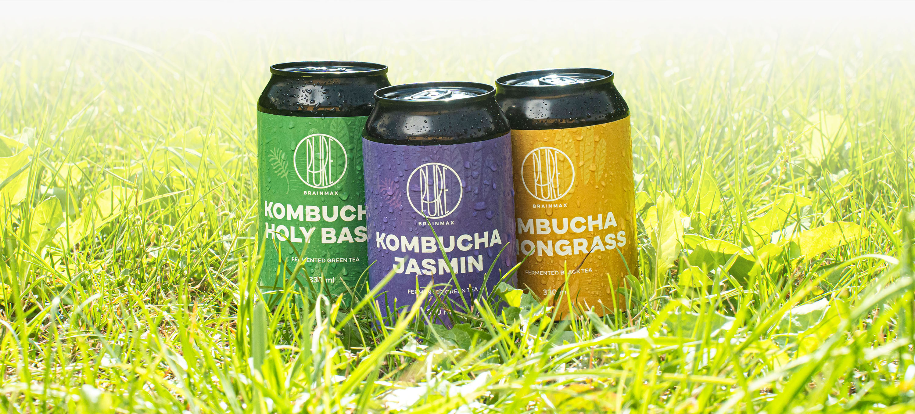 kombucha uvodni foto